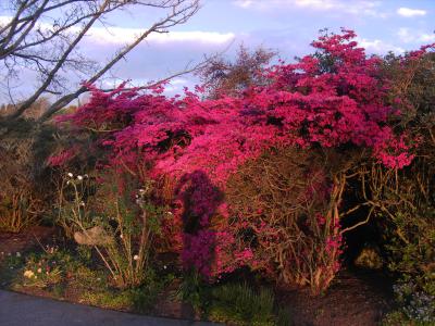 DA musste ich fotografieren. Die Farbe ist einfach wunderschoen. DA musste ich fotografieren. Die Farbe ist einfach wunderschoen.